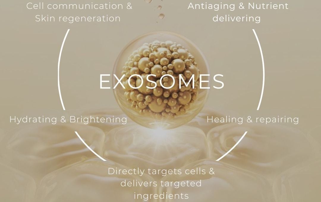 Exosomes và tín hiệu tế bào: Tương lai của skincare cao cấp?