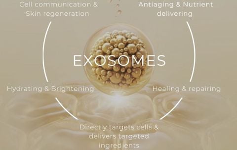 Exosomes và tín hiệu tế bào: Tương lai của skincare cao cấp?