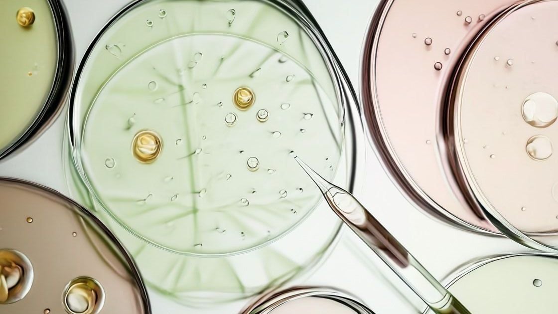 Giải mã Prebiotics, Probiotics & Postbiotics: Bí mật hệ vi sinh da