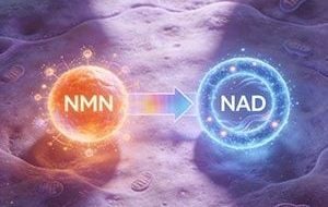 NAD+ và NMN: “Cải lão hoàn đồng” thực sự hay chỉ là cơn sốt marketing nhất thời?