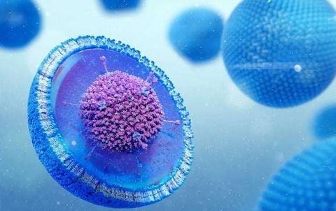 Liposome: “Chìa khóa” giúp hoạt chất phát huy hiệu quả?