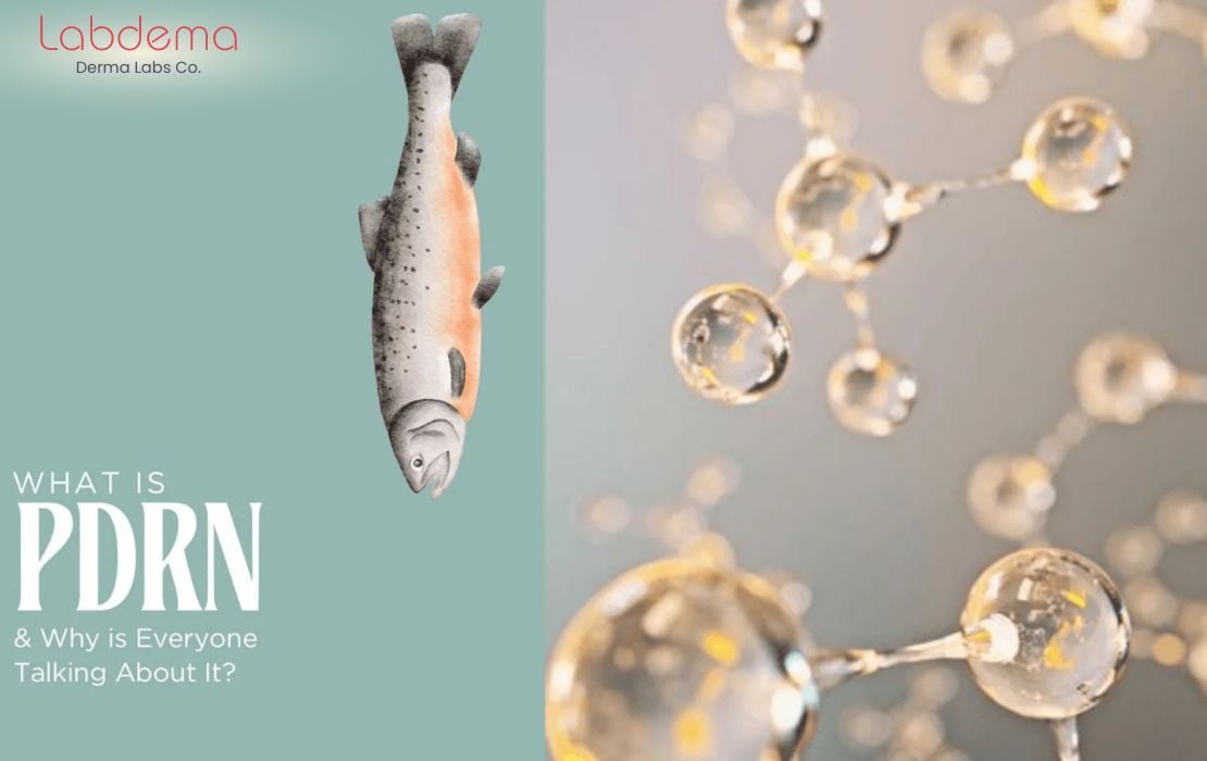 PDRN – “DNA cá hồi” có thật sự tái tạo da như lời đồn?