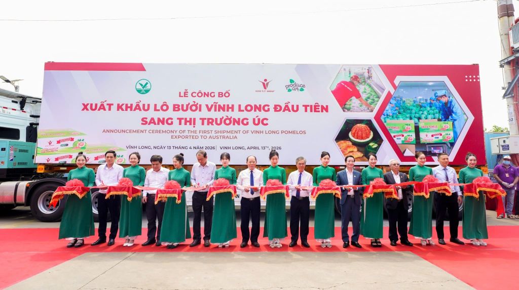 Bưởi da xanh Vĩnh Long chính thức chinh phục thị trường Australia