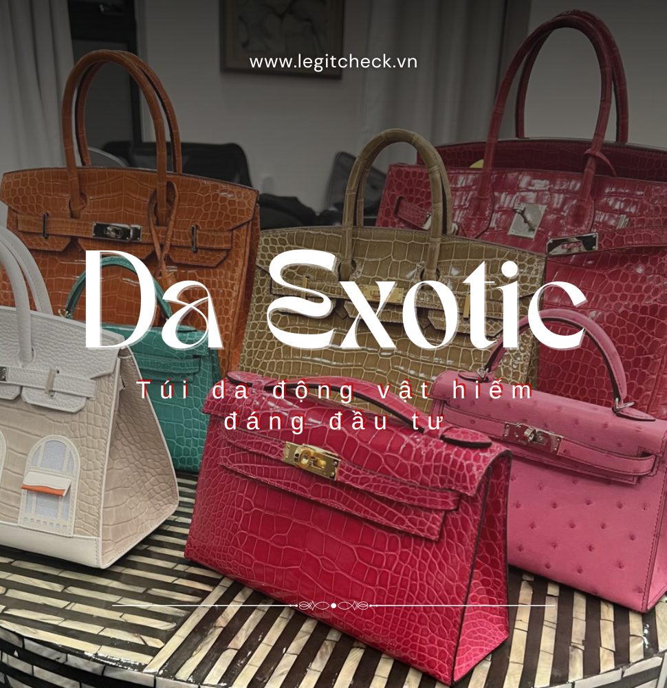 Những Mẫu Túi Da Động Vật Hiếm Exotic Đáng Đầu Tư Trong Thị Trường Đồ Hiệu