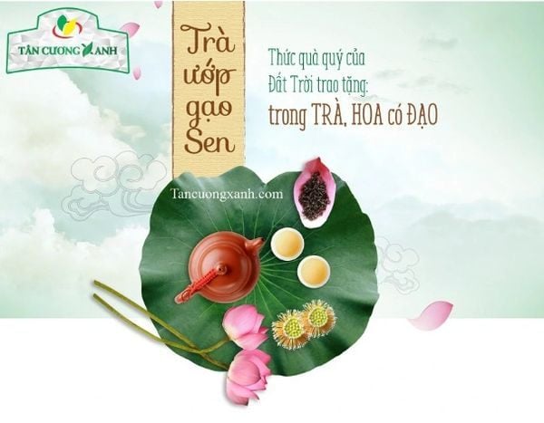 NGHỆ THUẬT ƯỚP TRÀ SEN TRUYỀN THỐNG: TỪ THỨC QUÀ TIẾN VUA ĐẾN TUYỆT TÁC LUXURY 