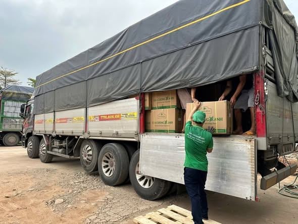 🌿 Tân Cương Xanh: Hành Trình Gói Trọn Hương Cốm Non – Liên Tục Mang Những Mẻ Trà Mới Nhất Đến Tay Người Tiêu Dùng