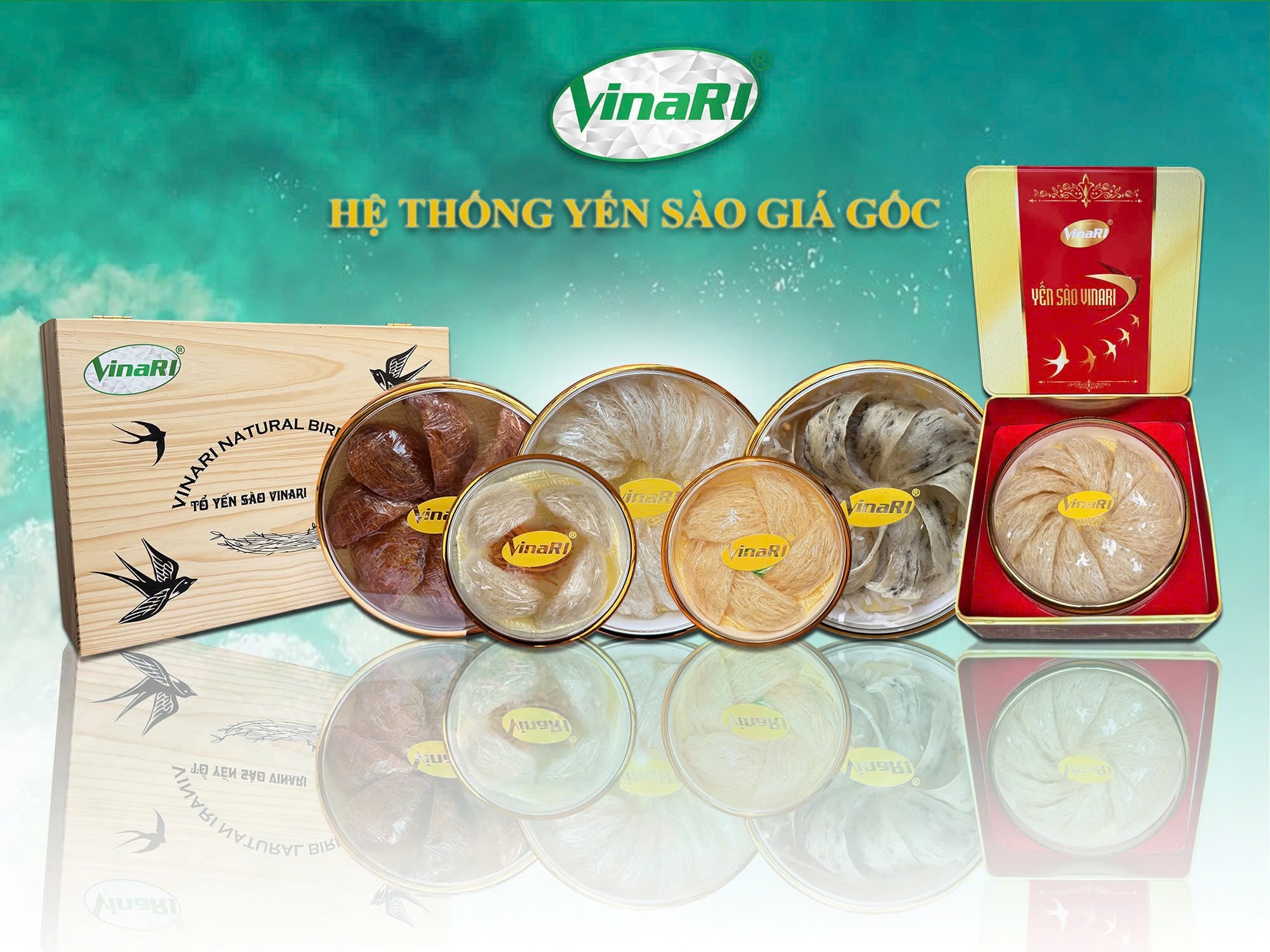 Yến sào – 