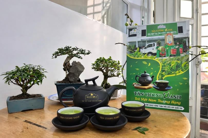 Bí Quyết Chọn Và Pha Trà Nõn Tôm Tân Cương Chuẩn Vị Đậm Đà