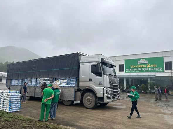 MUỐN CÓ TRÀ SẠCH – PHẢI BẮT ĐẦU TỪ ĐẤT SẠCH, NƯỚC SẠCH