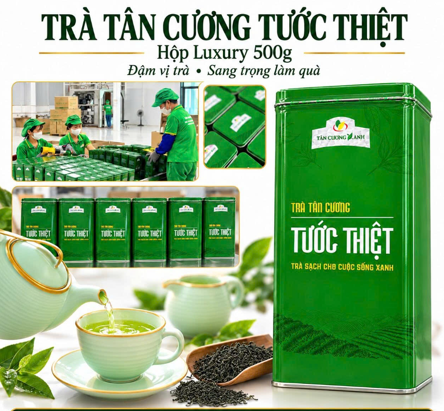 Trà Tân Cương Tước Thiệt – Thức quà danh giá kết tinh từ nghệ thuật hái trà thủ công