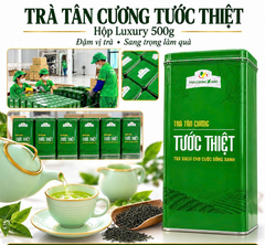 Trà Tân Cương Tước Thiệt – Thức quà danh giá kết tinh từ nghệ thuật hái trà thủ công