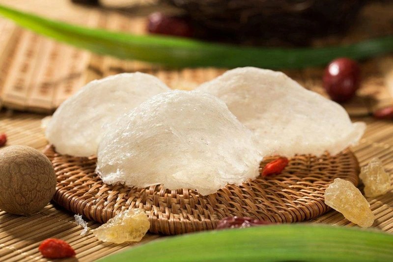 🕊️ Chim Yến Ăn Gì? Khám Phá 