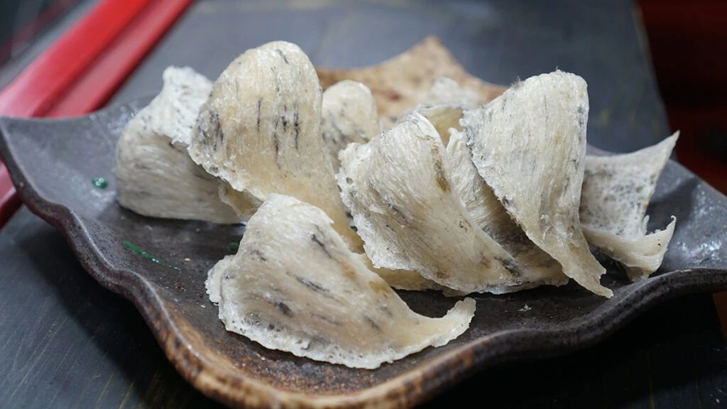 🕊️ Hành Trình Từ Những Cánh Chim Chuyên Cần Đến Chén Yến Thượng Hạng VinaRI