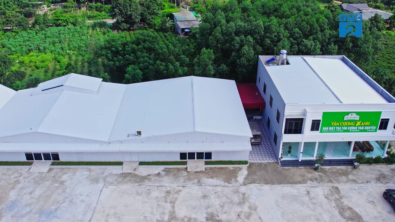 Bí Quyết Tỉnh Táo Tự Nhiên Đầu Tuần Với Trà Tân Cương Nguyên Bản