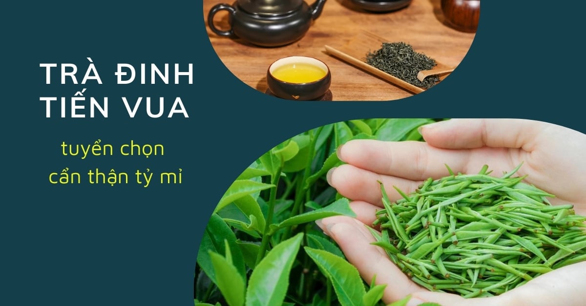 TRÀ ĐINH TIẾN VUA: KỲ CÔNG CHẾ TÁC – TINH TÚY HƯƠNG TRÀ