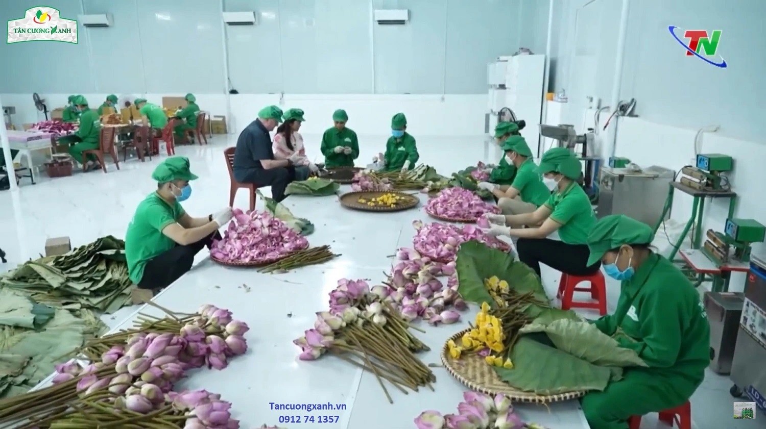 THAM QUAN SẢN XUẤT TRÀ SEN NGỌC TỈNH LIÊN  TẠI NHÀ MÁY TÂN CƯƠNG XANH