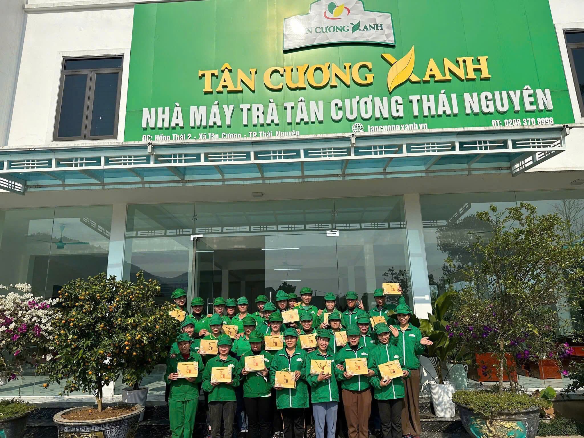 Quy Trình Sản Xuất Khép Kín Tại Tân Cương Xanh: Lời Cam Kết Từ Gốc Cho Chén Trà Sạch