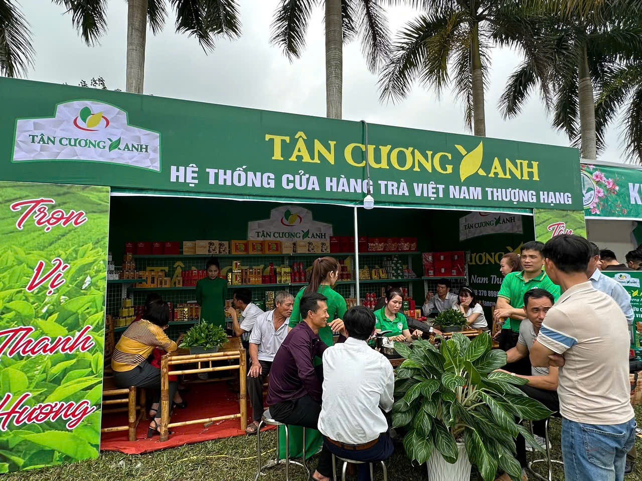 PHÂN BIỆT CÁC DÒNG TRÀ CAO CẤP: TRÀ ĐINH, TRÀ BÚP, TRÀ OOLONG VÀ TRÀ SHAN TUYẾT
