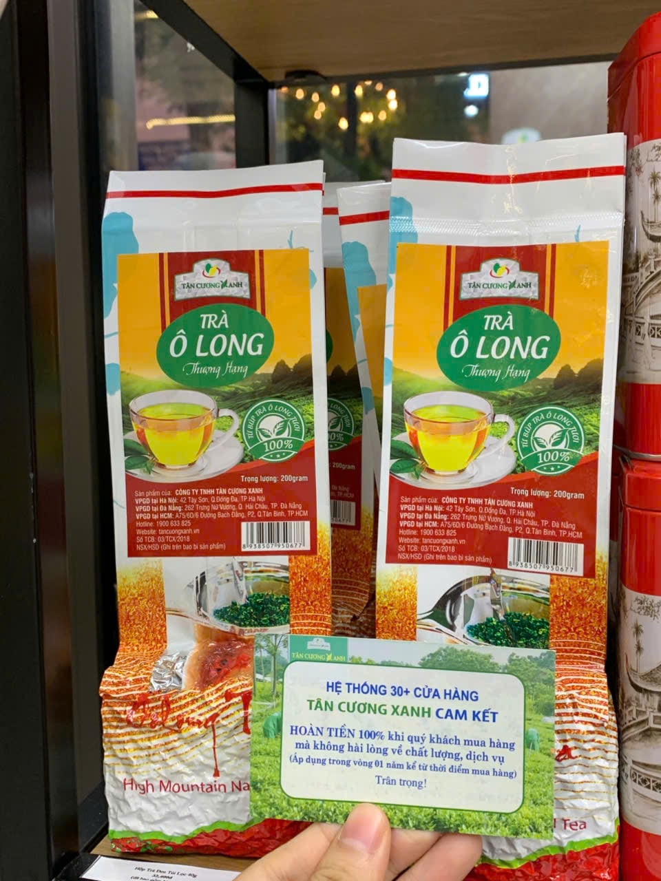 Trà Ô Long Việt Nam: Hành trình của hương vị, nghệ thuật và sự tinh túy