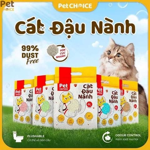 Cát đậu nành là gì? Ưu nhược điểm và cách chọn cát tofu cho mèo