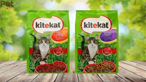 Thức ăn cho mèo Kitekat: Có những loại nào?