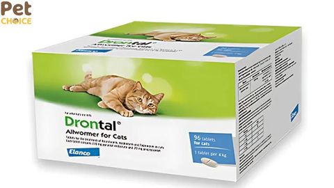 Review tất tần tất về thuốc xổ giun Drontal cho mèo