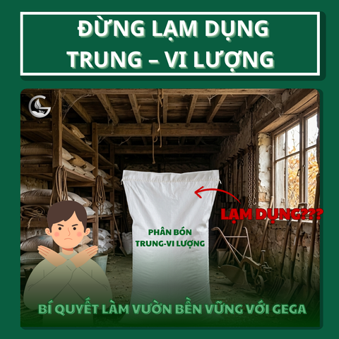 Đừng Lạm Dụng Trung – Vi Lượng: Bí Quyết Làm Vườn Bền Vững Với GEGA
