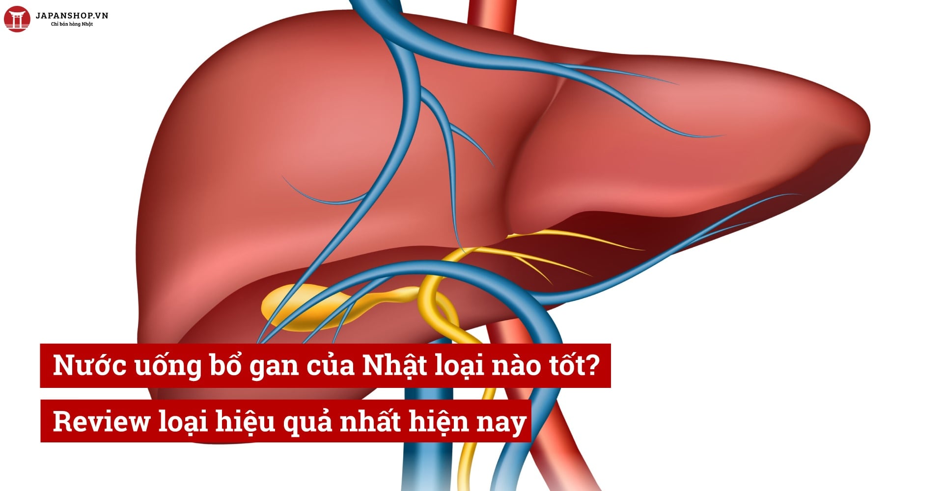 Nước uống bổ gan của Nhật loại nào tốt? Review loại hiệu quả nhất hiện nay