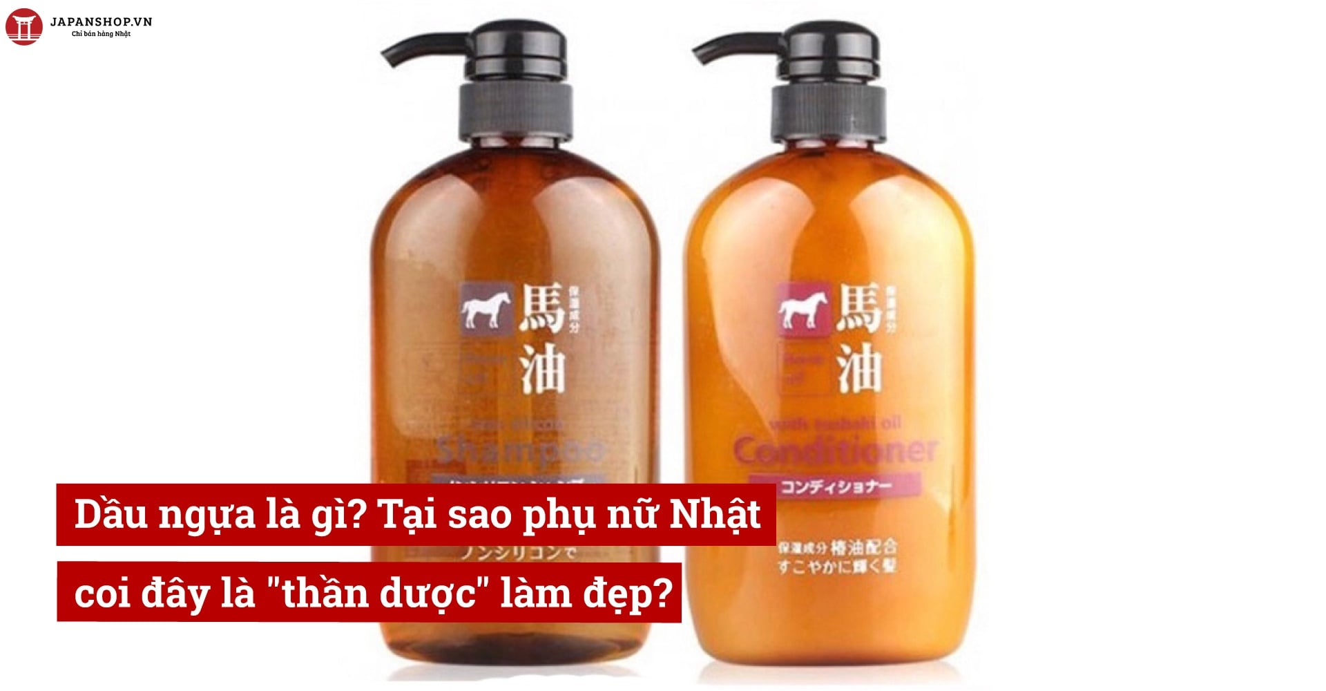 Dầu ngựa là gì? Tại sao phụ nữ Nhật coi đây là 
