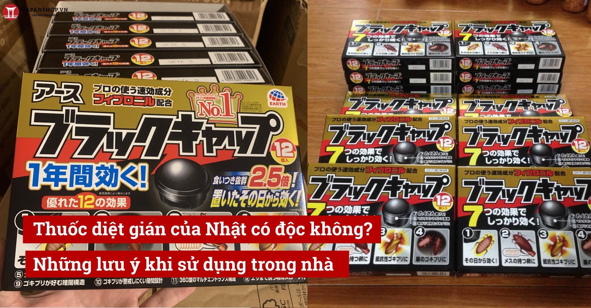 Thuốc diệt gián của Nhật có độc không? Những lưu ý khi sử dụng trong nhà