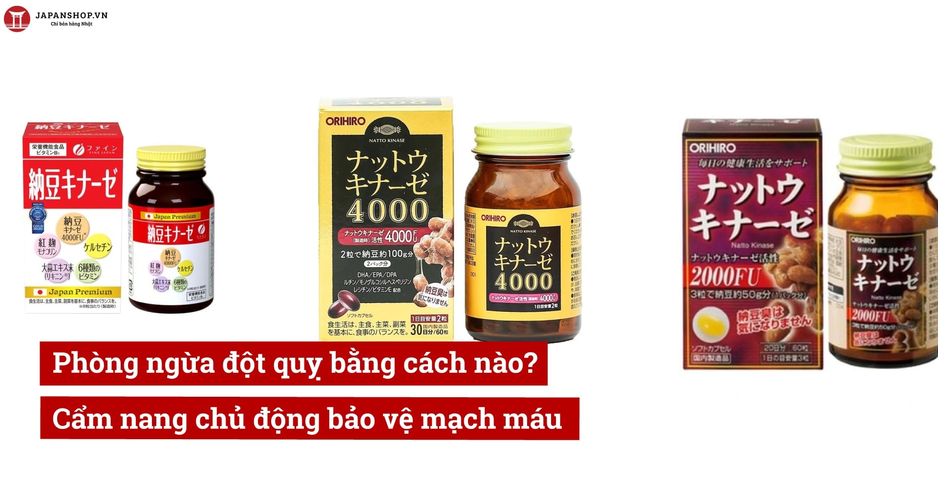 Phòng ngừa đột quỵ bằng cách nào? Cẩm nang chủ động bảo vệ mạch máu