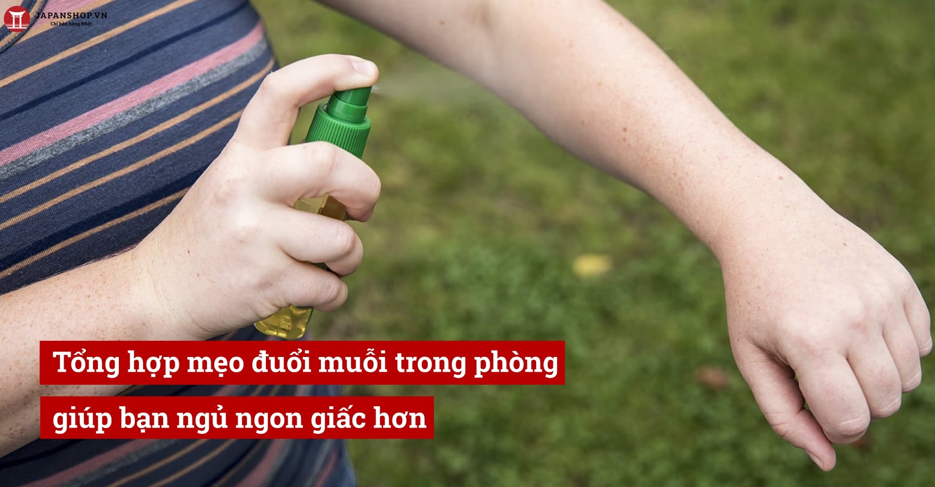 Tổng hợp mẹo đuổi muỗi trong phòng giúp bạn ngủ ngon giấc hơn
