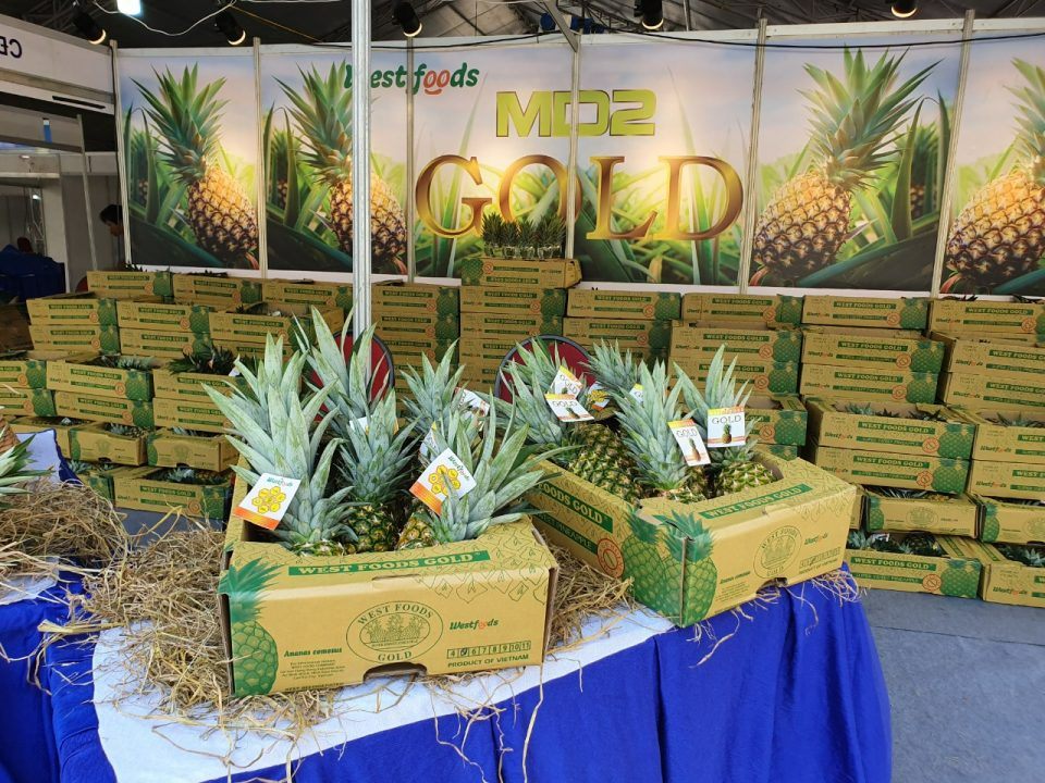Westfood giới thiệu khóm MD2 tại Hội chợ Xuân Phú Mỹ Hưng