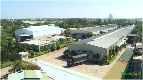 Inside Factory: Thăm nhà máy chế biến thực phẩm xuất khẩu của TSC