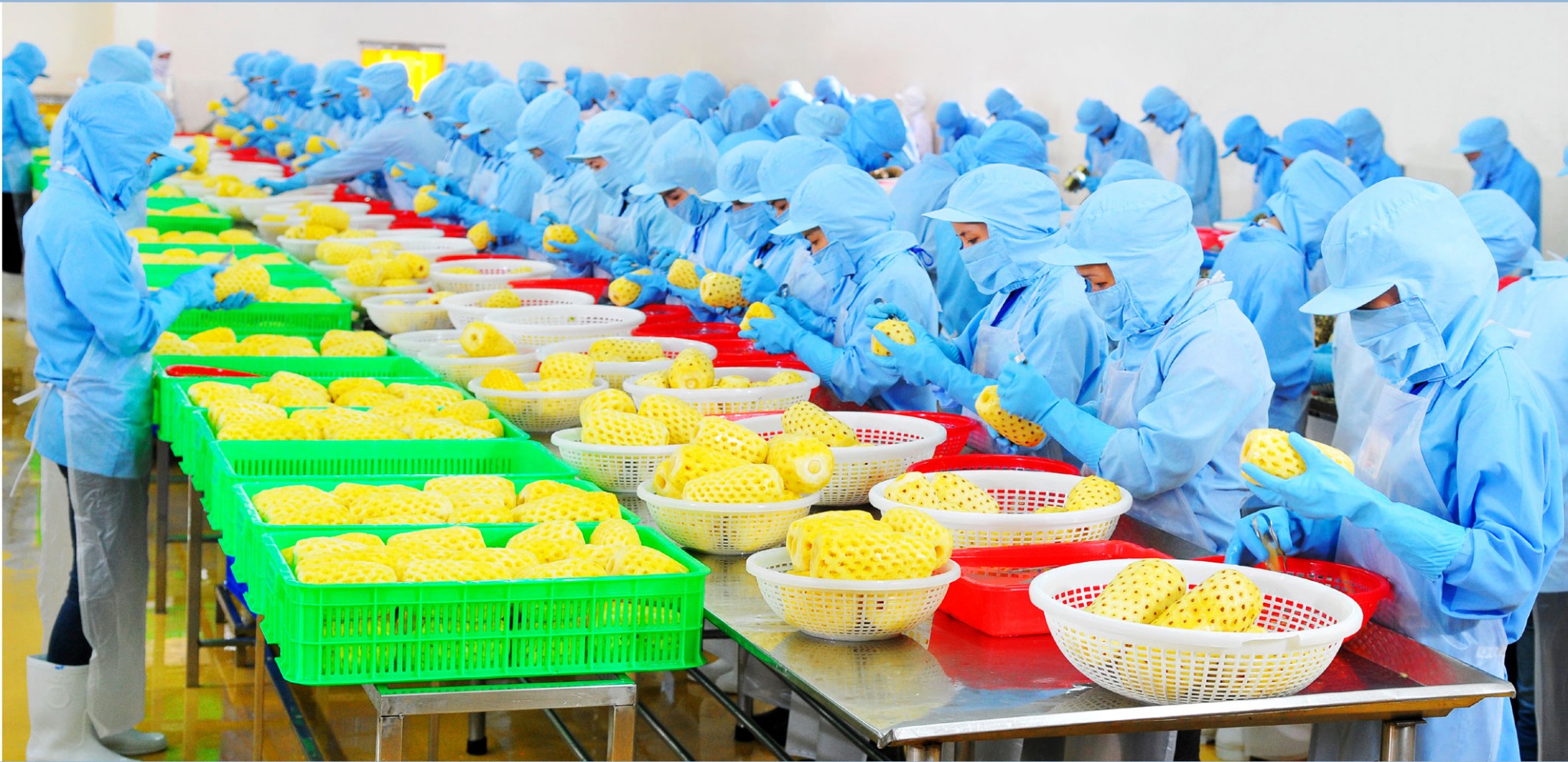 Khách hàng Nhật Bản mong muốn nguồn cung ứng lớn từ West Food