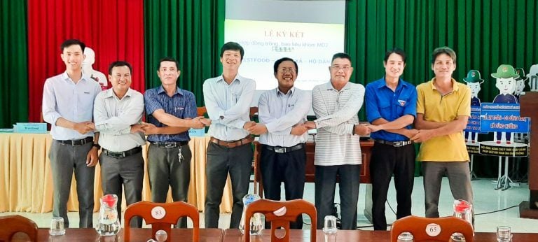 Westfood phát triển vùng nguyên liệu dứa MD2 tại Sóc Trăng