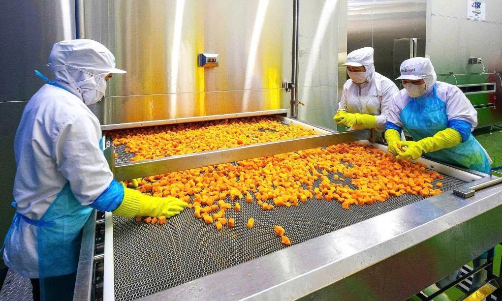 Xuất khẩu rau quả chế biến vượt tỷ USD