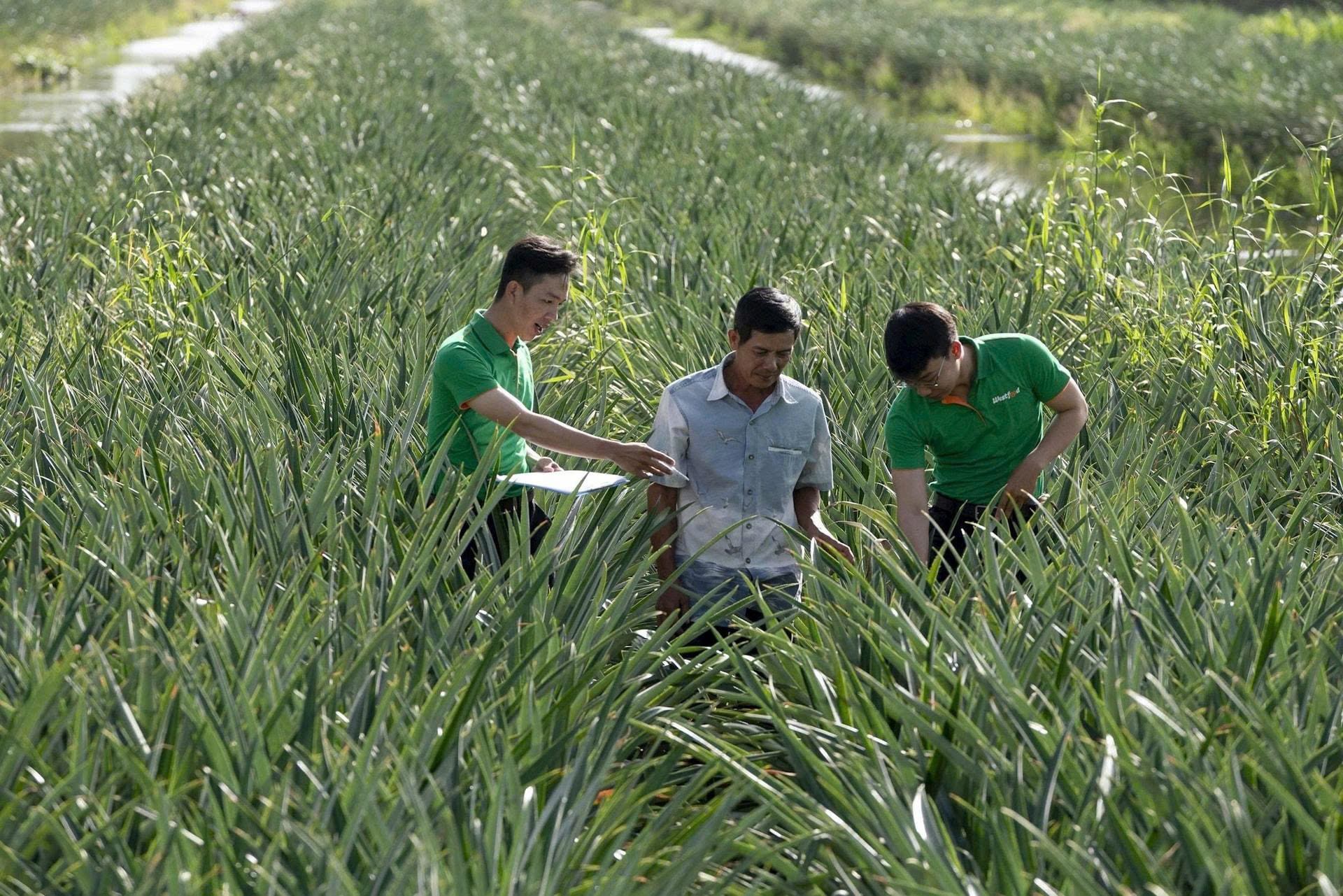 Nhà máy chế biến nông sản hơn 666 tỷ đồng vừa khánh thành tại Cần Thơ: Đưa nông sản Đồng bằng sông Cửu Long vươn ra thế giới