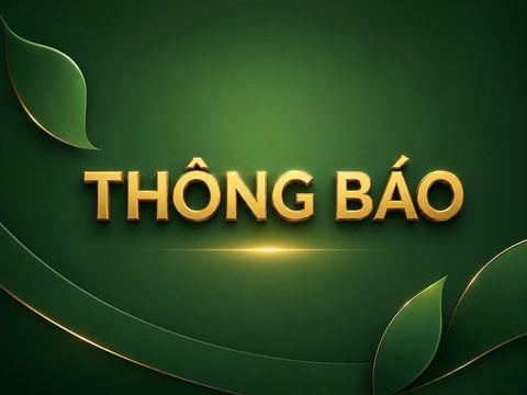 THƯ MỜI CHÀO GIÁ: Thiết kế – thi công sàn rung đầu vào sản phẩm IQF5
