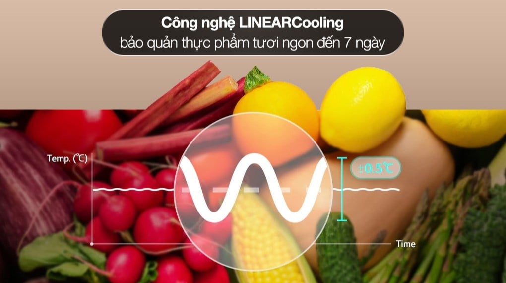 Ngăn Fresh Converter+ LG