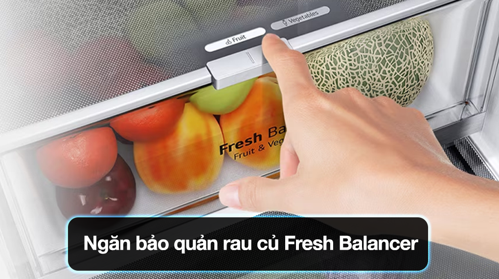 Ngăn rau củ Fresh Balancer LG