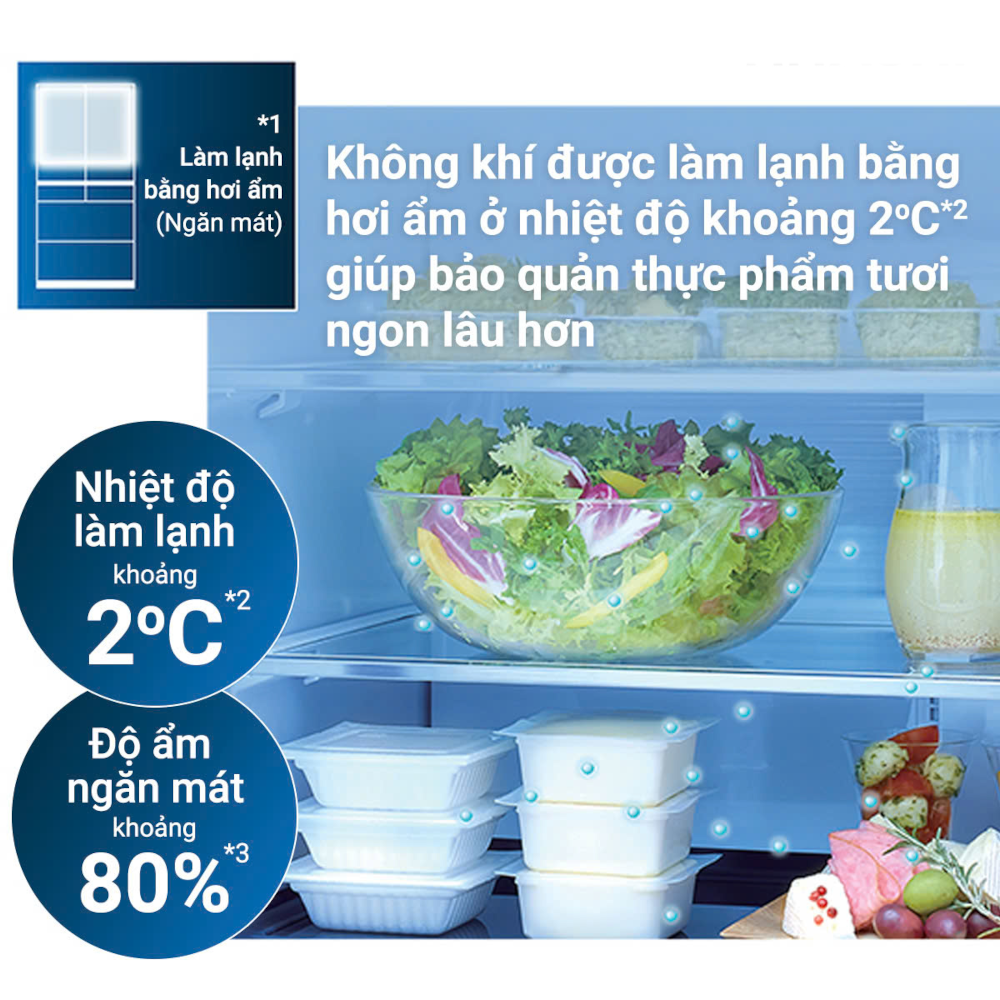 Hơi ẩm tuần hoàn khoang mát tủ lạnh Hitachi