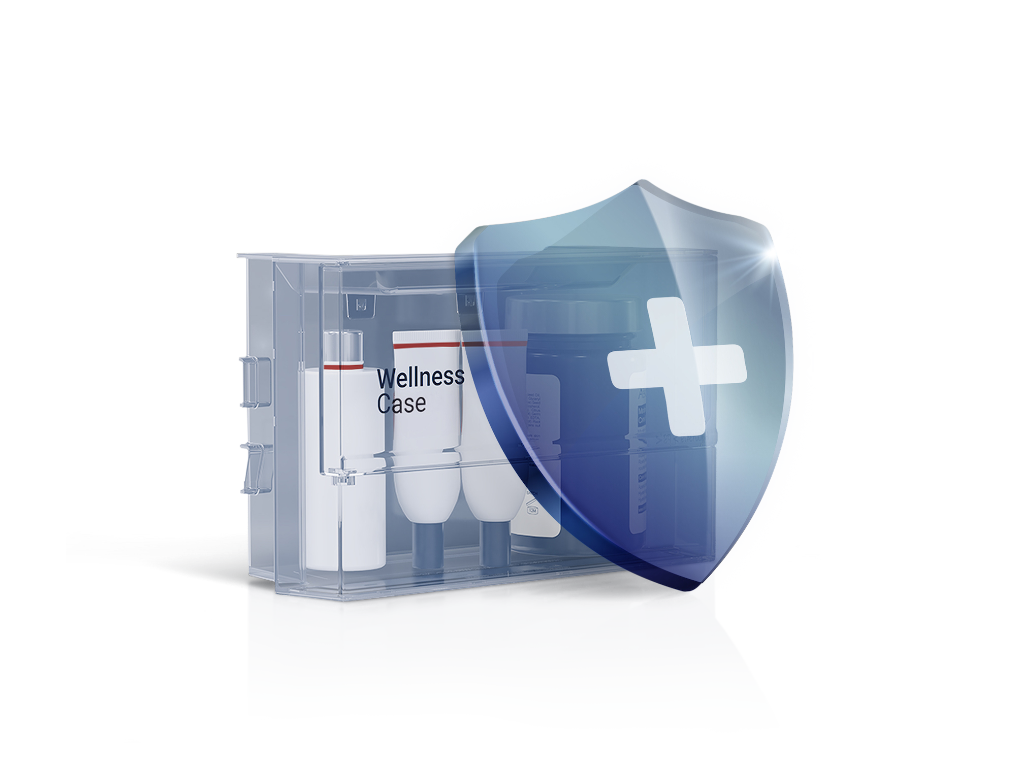Wellness Case Main