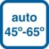 Icon Auto