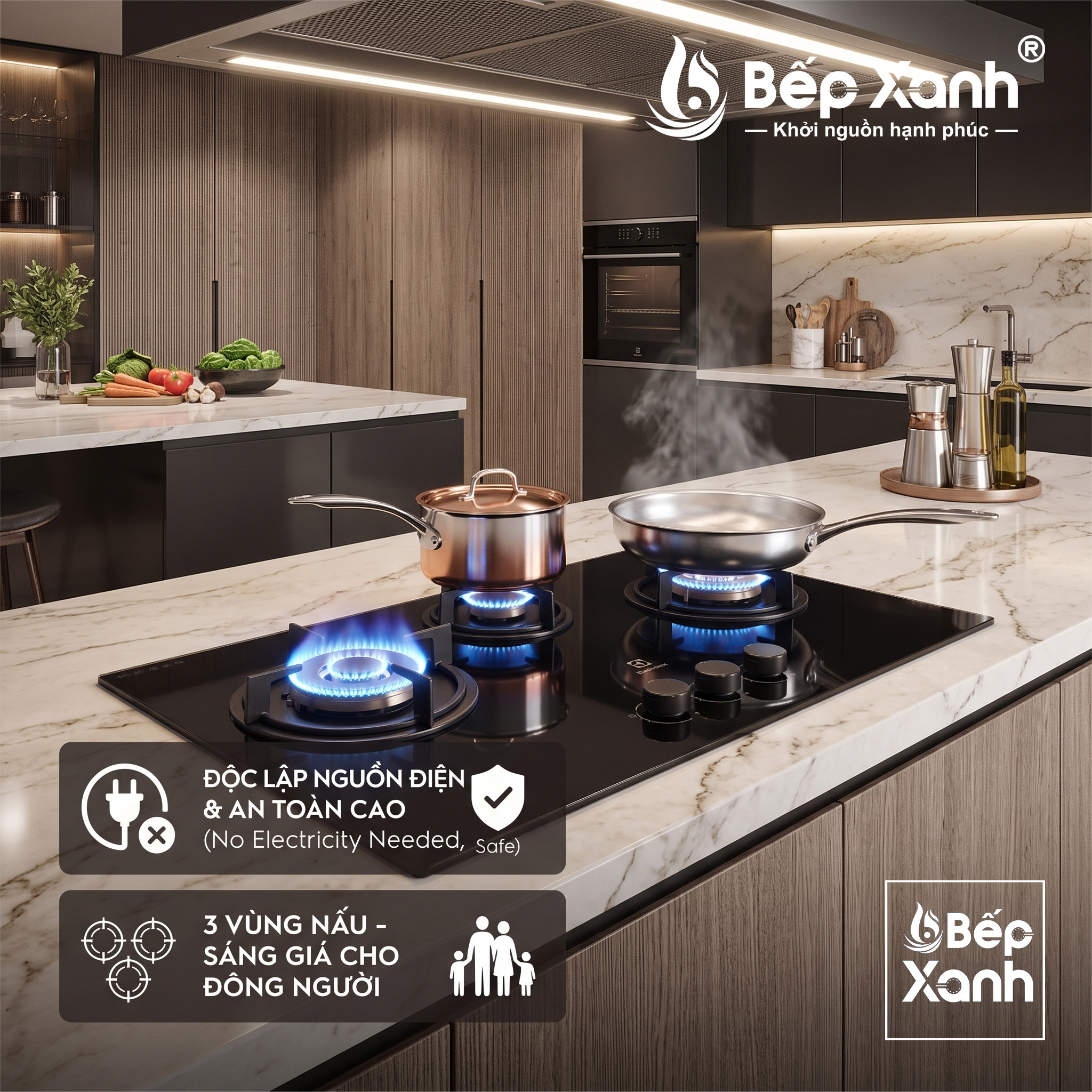 Ưu đãi bếp ga âm Electrolux