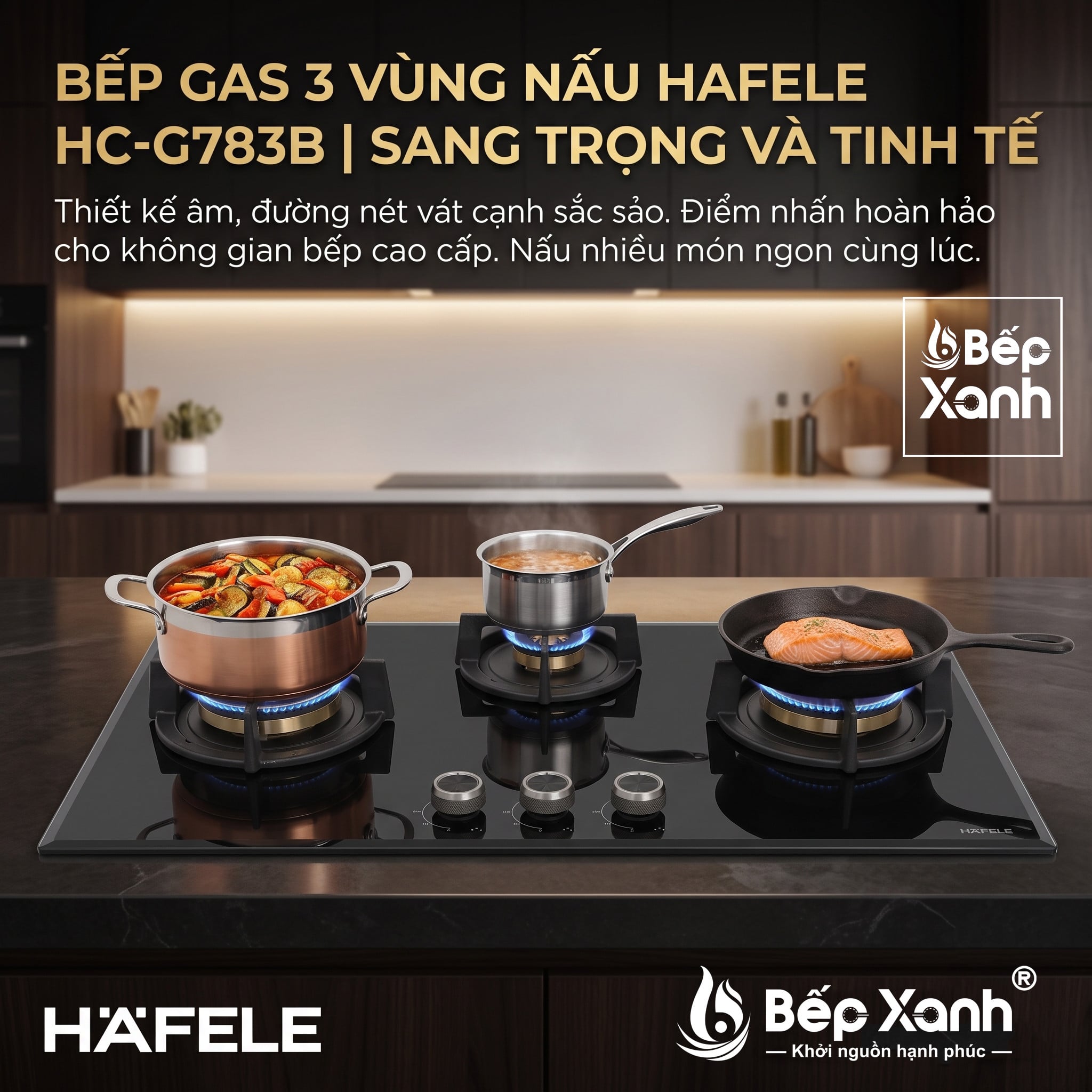 Bếp gas Hafele HC-G783B chính hãng