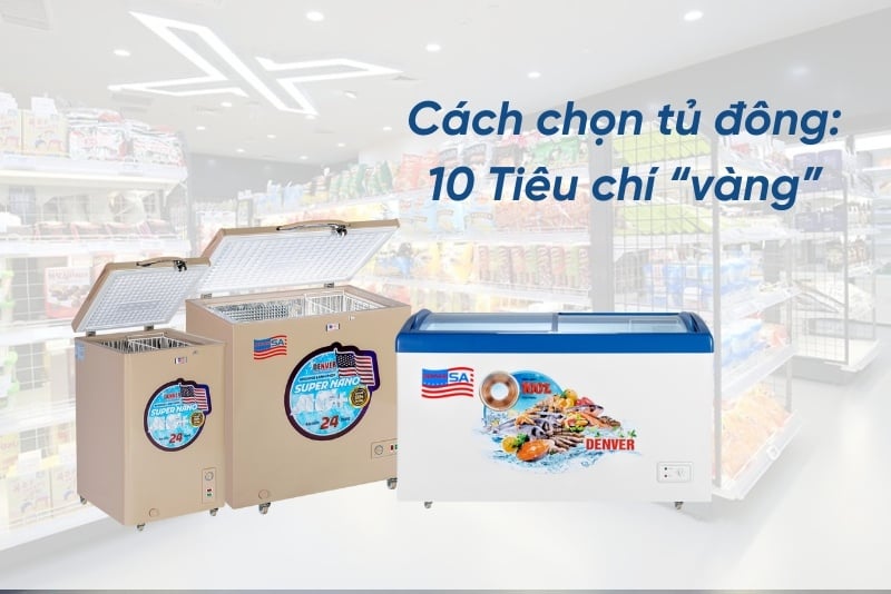 Cách chọn tủ đông: 10 Tiêu chí “vàng” để sở hữu tủ tối ưu, bảo quản tốt, tiết kiệm điện