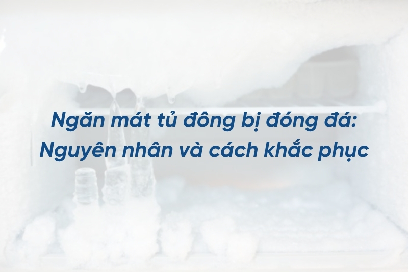 Ngăn mát tủ đông bị đóng đá: Nguyên nhân và cách khắc phục đơn giản tại nhà