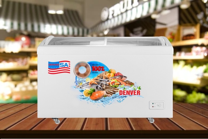 Gợi ý 6 mẫu tủ bảo quản Denver chất lượng, giá tốt