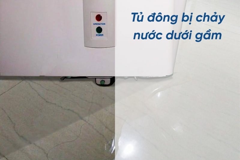 Tủ đông bị chảy nước dưới gầm: Nguyên nhân và cách khắc phục hiệu quả